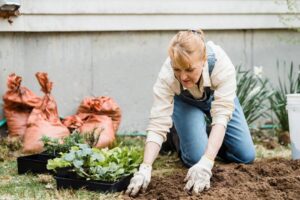 How Much Does Home Garden Cost Mgapgreenhouse