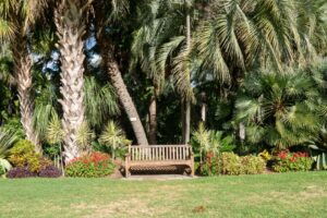 Garden Tips Decoradhouse