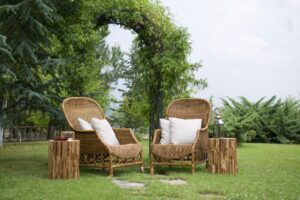 Garden Tips Decoradhouse