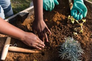 Treeleftbigshop Outdoor Gardening