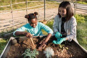 Treeleftbigshop Outdoor Gardening