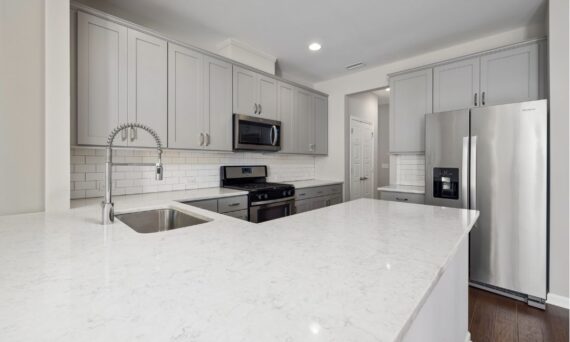 Quartzite Brazil Kitchen