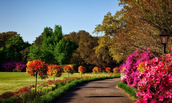 Roco Landscaping Arlington Ma Reviews