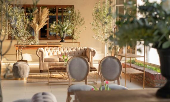 Decoradyard
