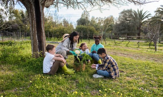 ‎Treeleftbigshop Outdoor Gardening