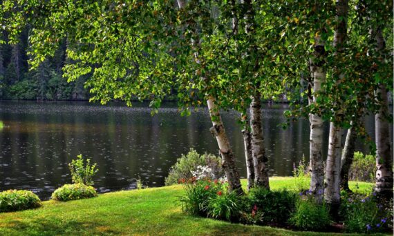 commercial landscaping houston lawncarespring.com