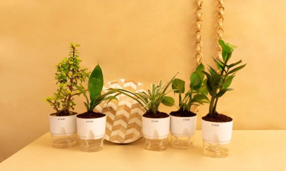 The Hc Companies Caribbean Planter Pot - Outdoor