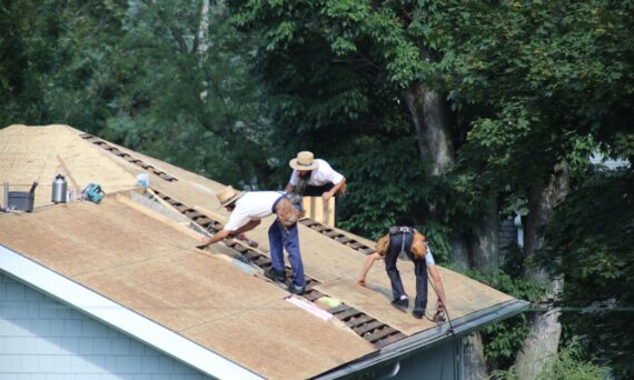roof cleaning