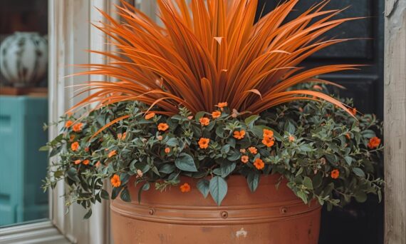 what to use to decorate a planter with orange hair