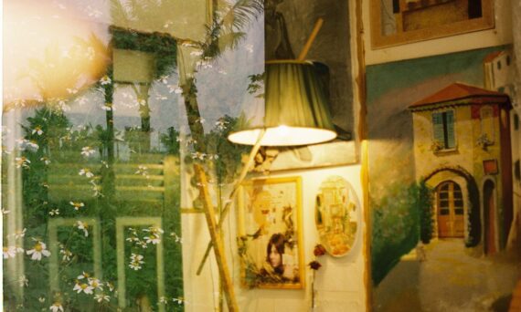 diy coral painted lamp shades