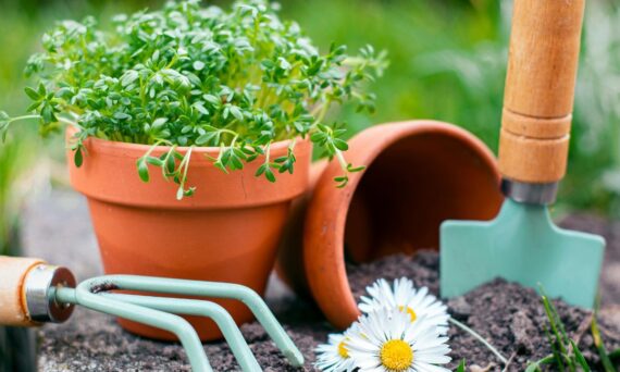 outdoor garden pots online